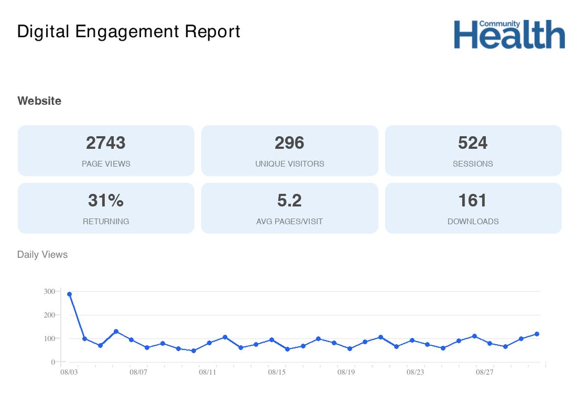 Report overview statistics and daily activity chart
